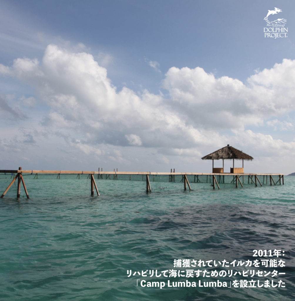 捕獲されていたイルカを可能なリハビリして海に戻すためのリハビリセンター