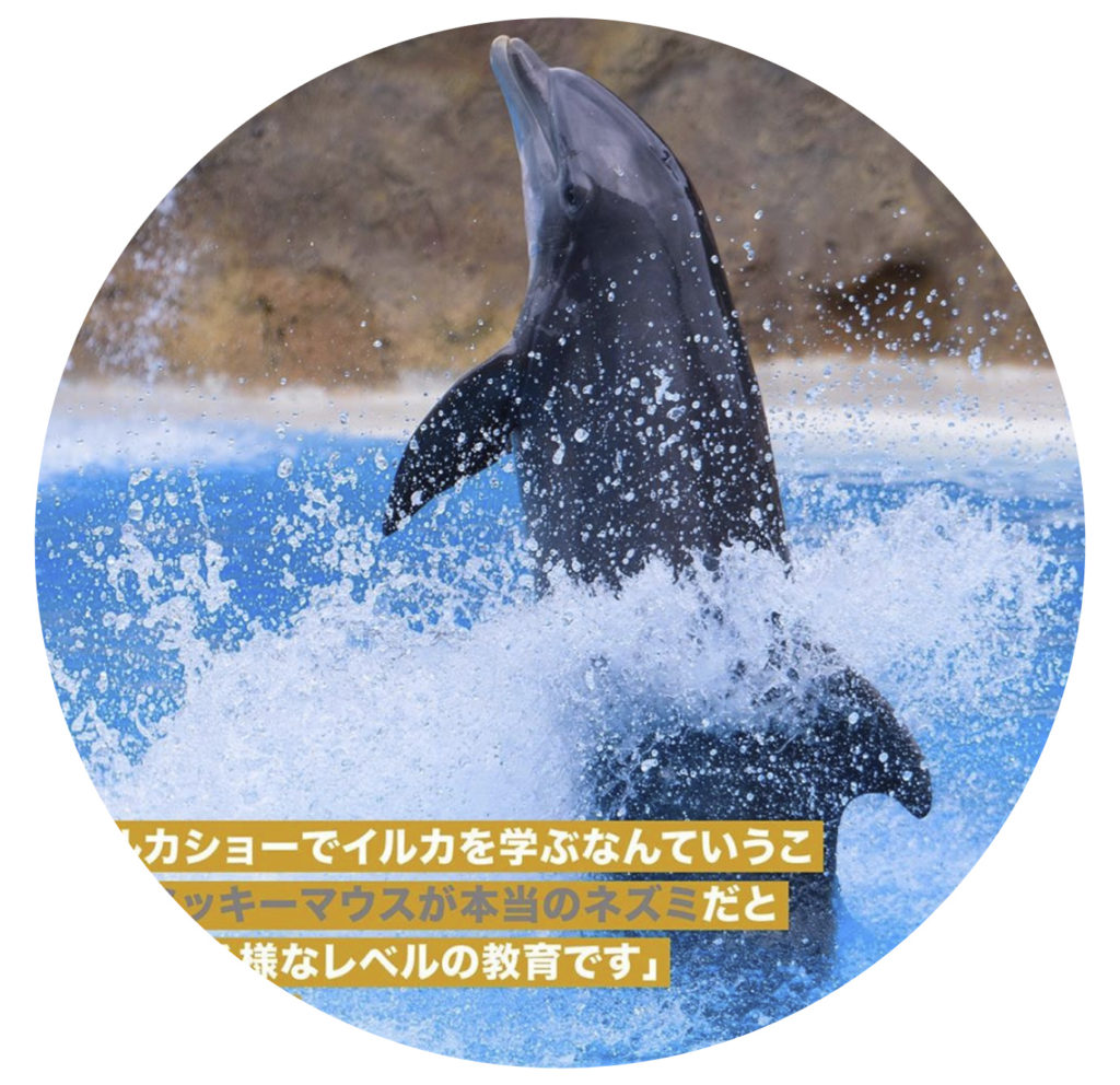 ソーシャルメディア用のグラフィック